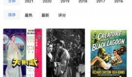 91在线视频国产,国产生态下的创新与崛起